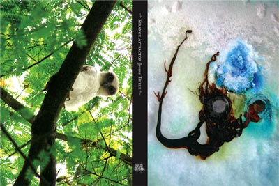 Strange Attractor Journal Three
